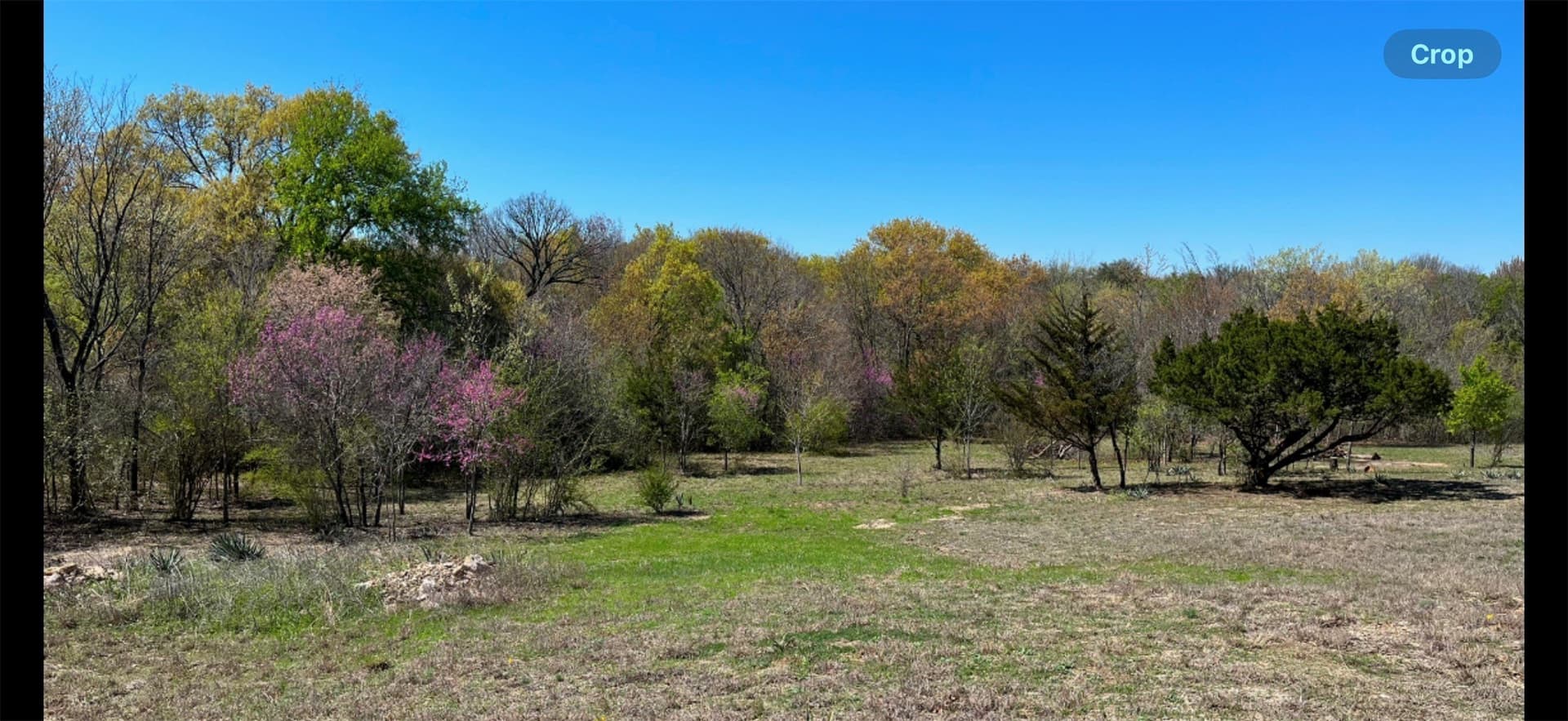 1.84 acres in Parker County - photo 6