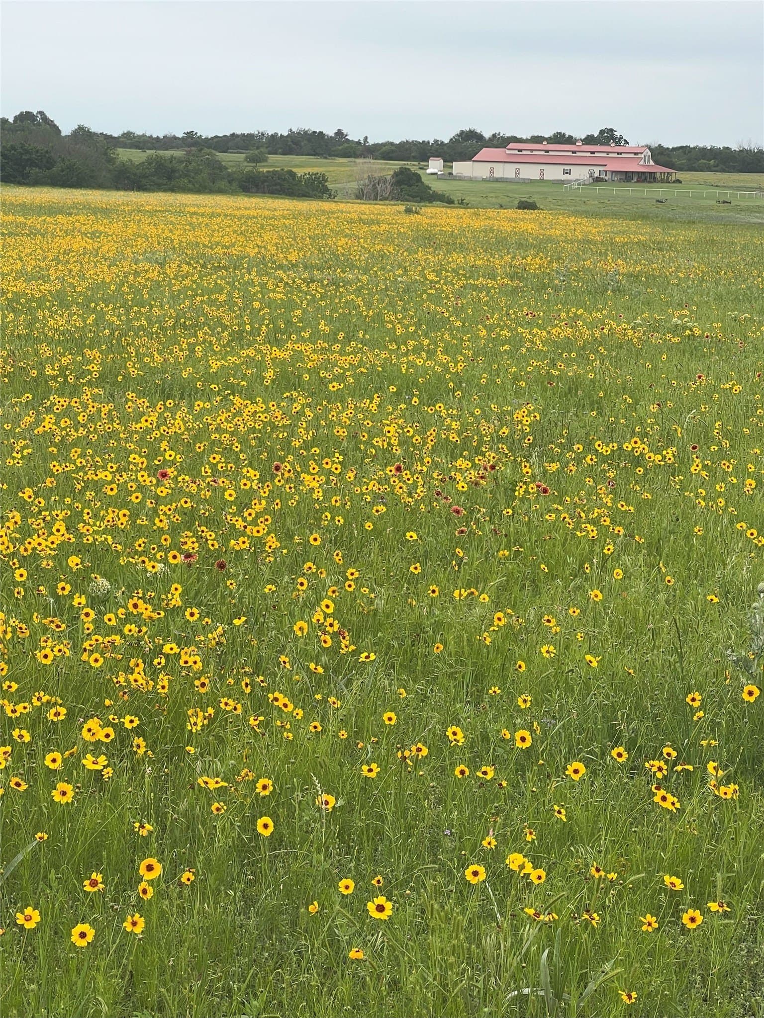 85 acres in Parker County - photo 40