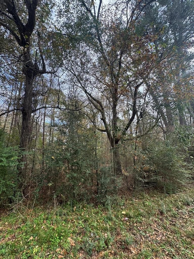 1 acres in Texas County - photo 7