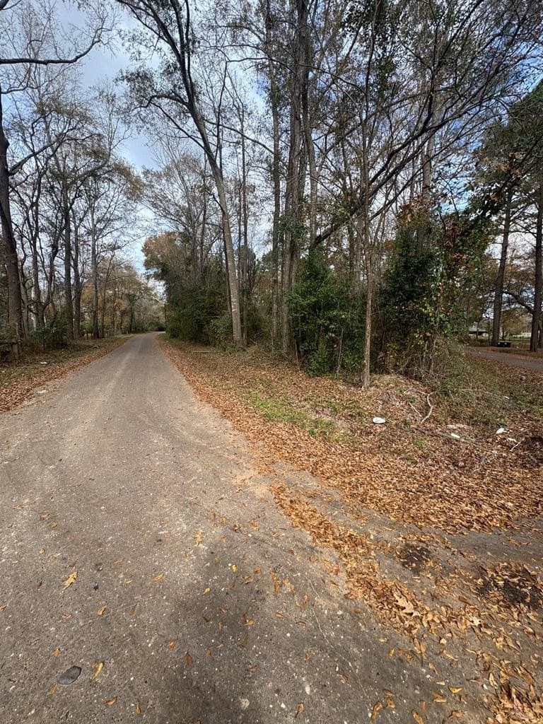 1 acres in Texas County - photo 4