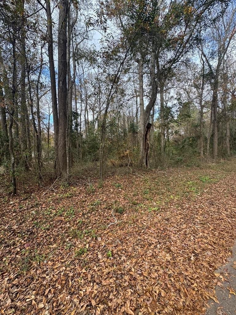 1 acres in Texas County - photo 3