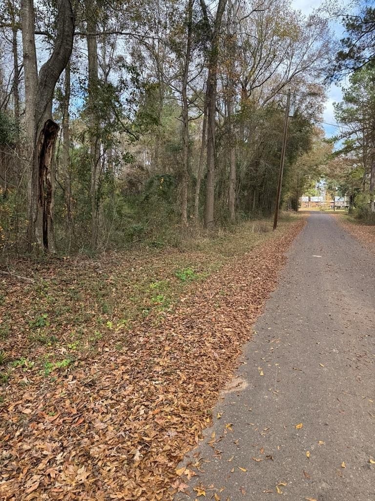 1 acres in Texas County - photo 2