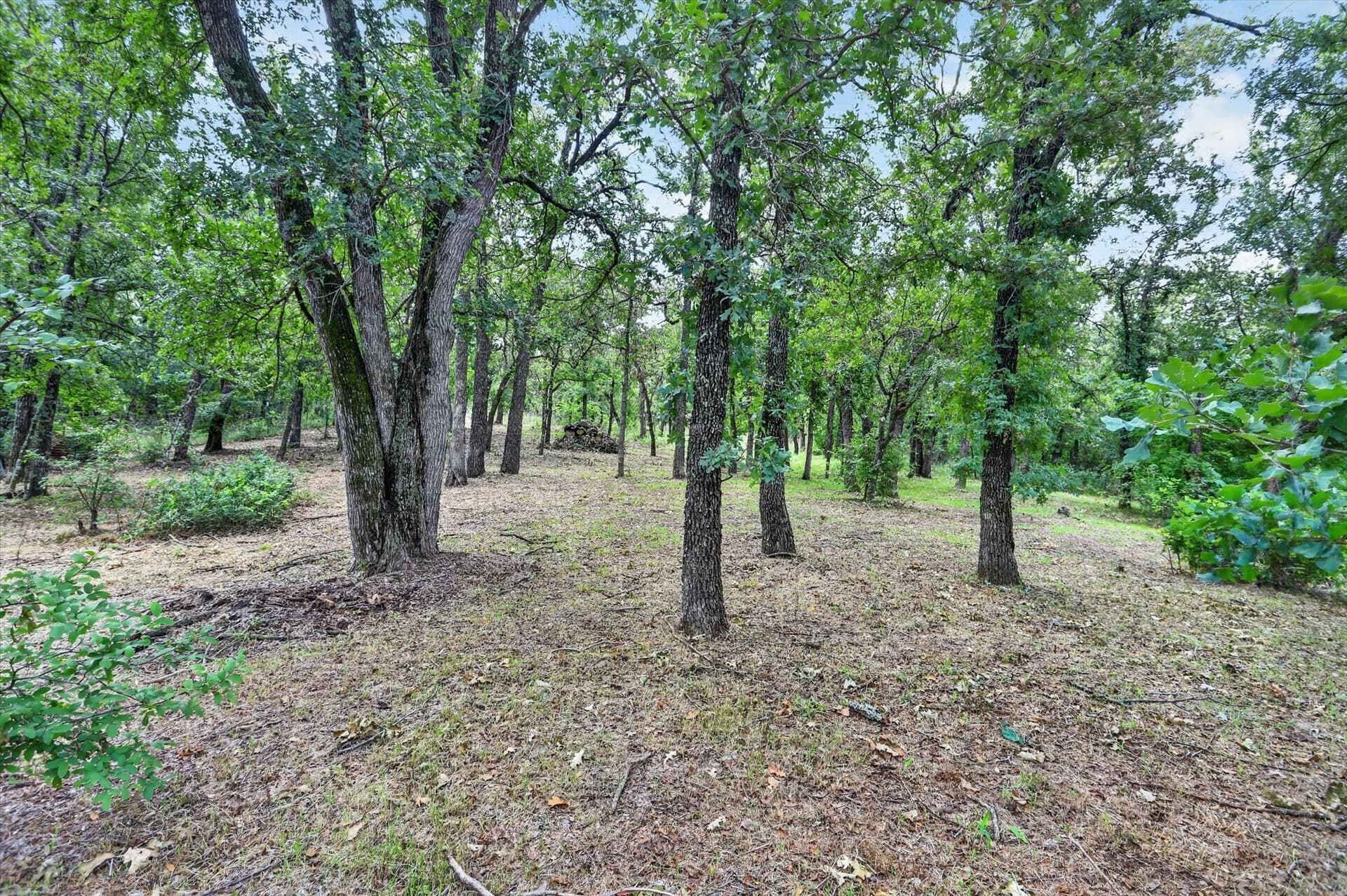10.45 acres in Wise County - photo 32