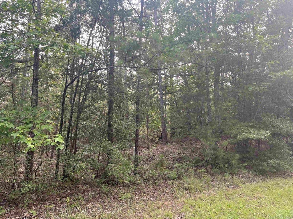 0.69 acres in Texas County gallery image 4