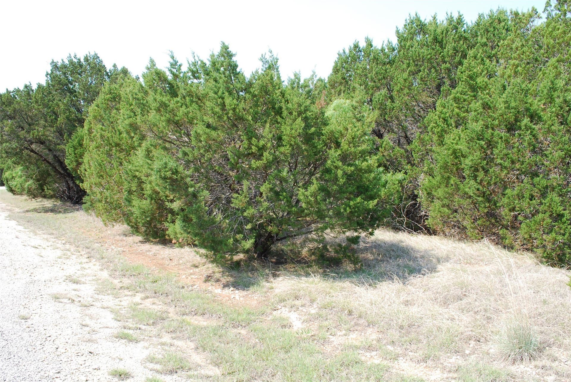 0.35 acres in Hill County gallery image 4