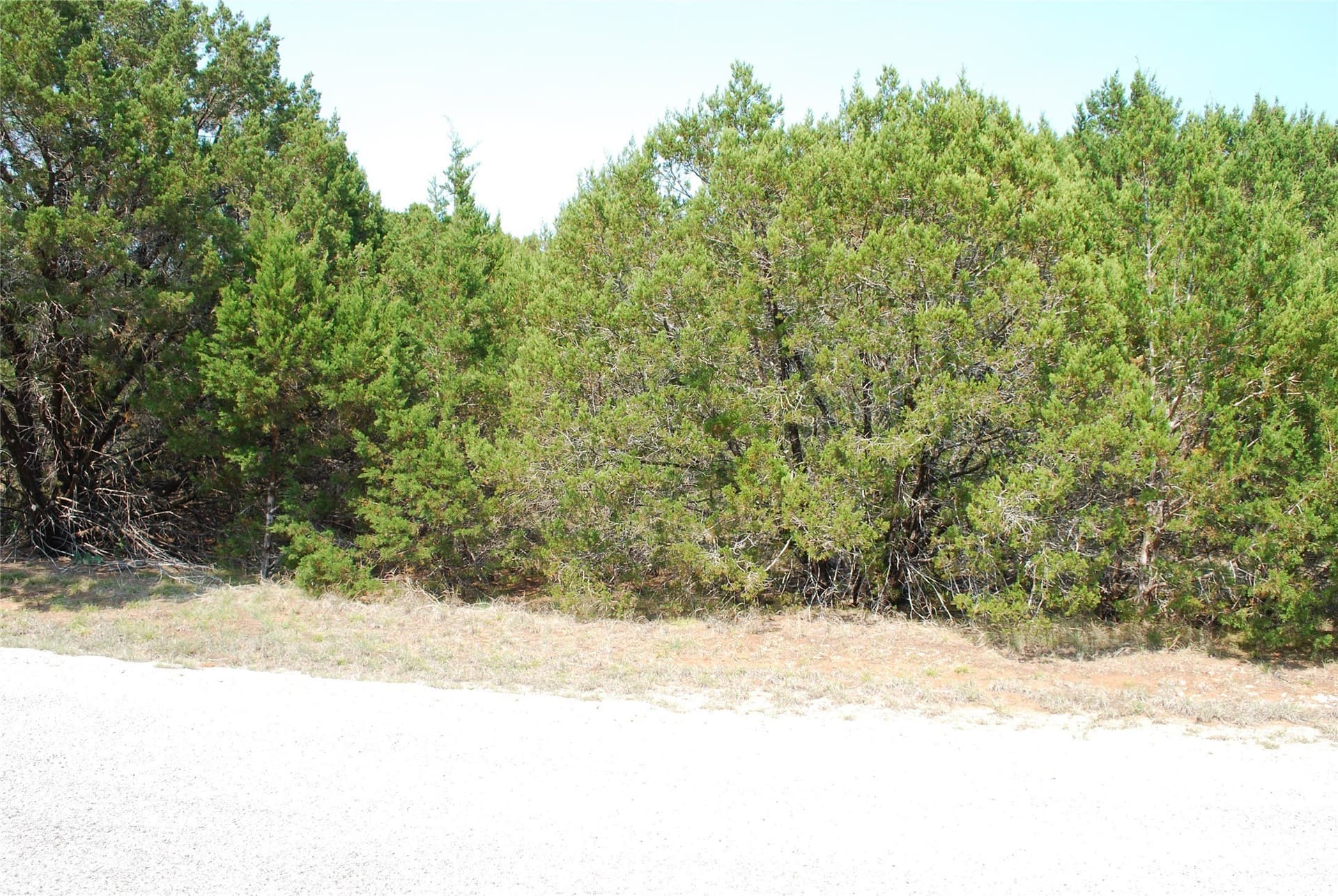 0.35 acres in Hill County gallery image 2