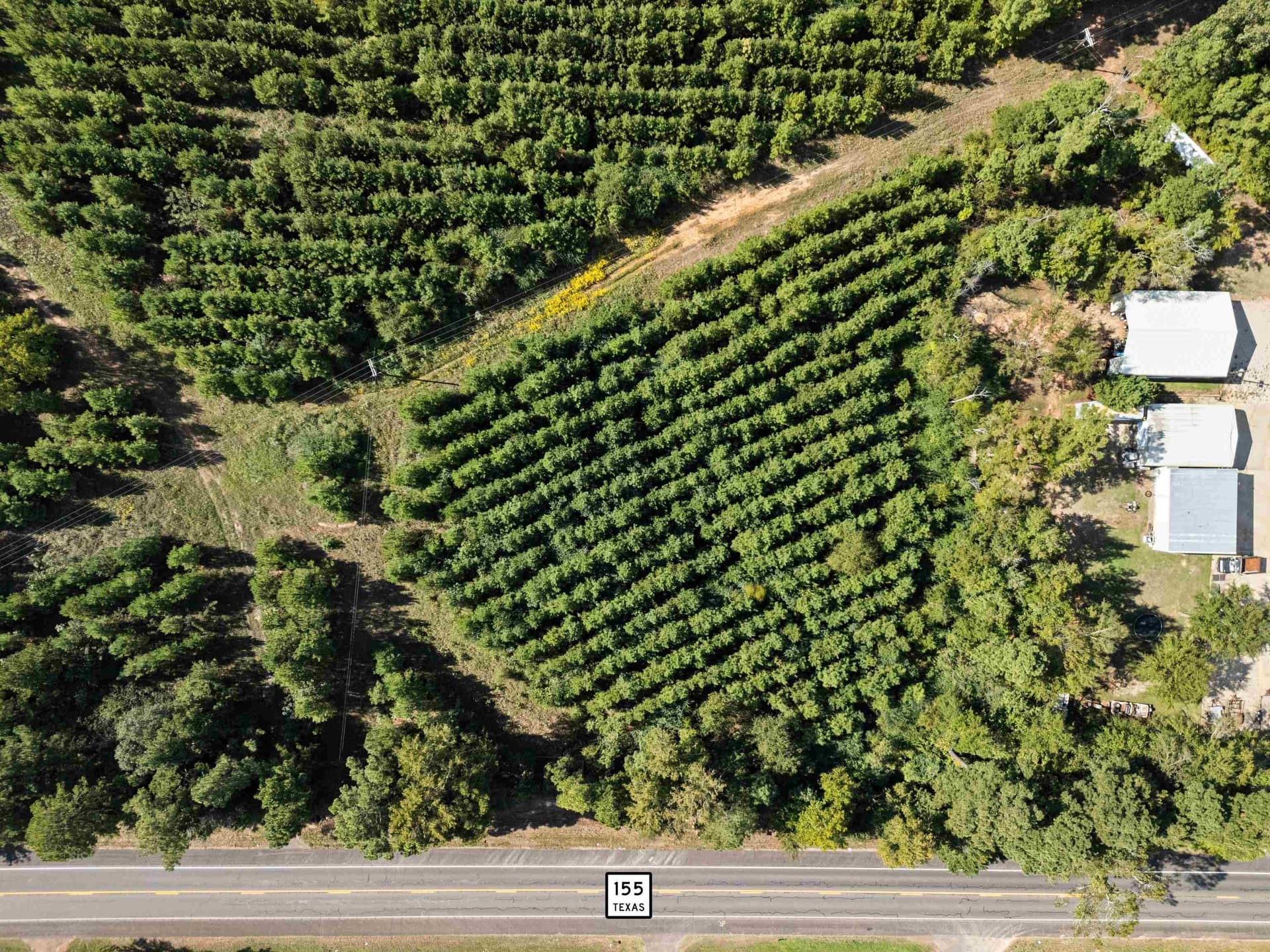 4 acres in Upshur County - photo 6