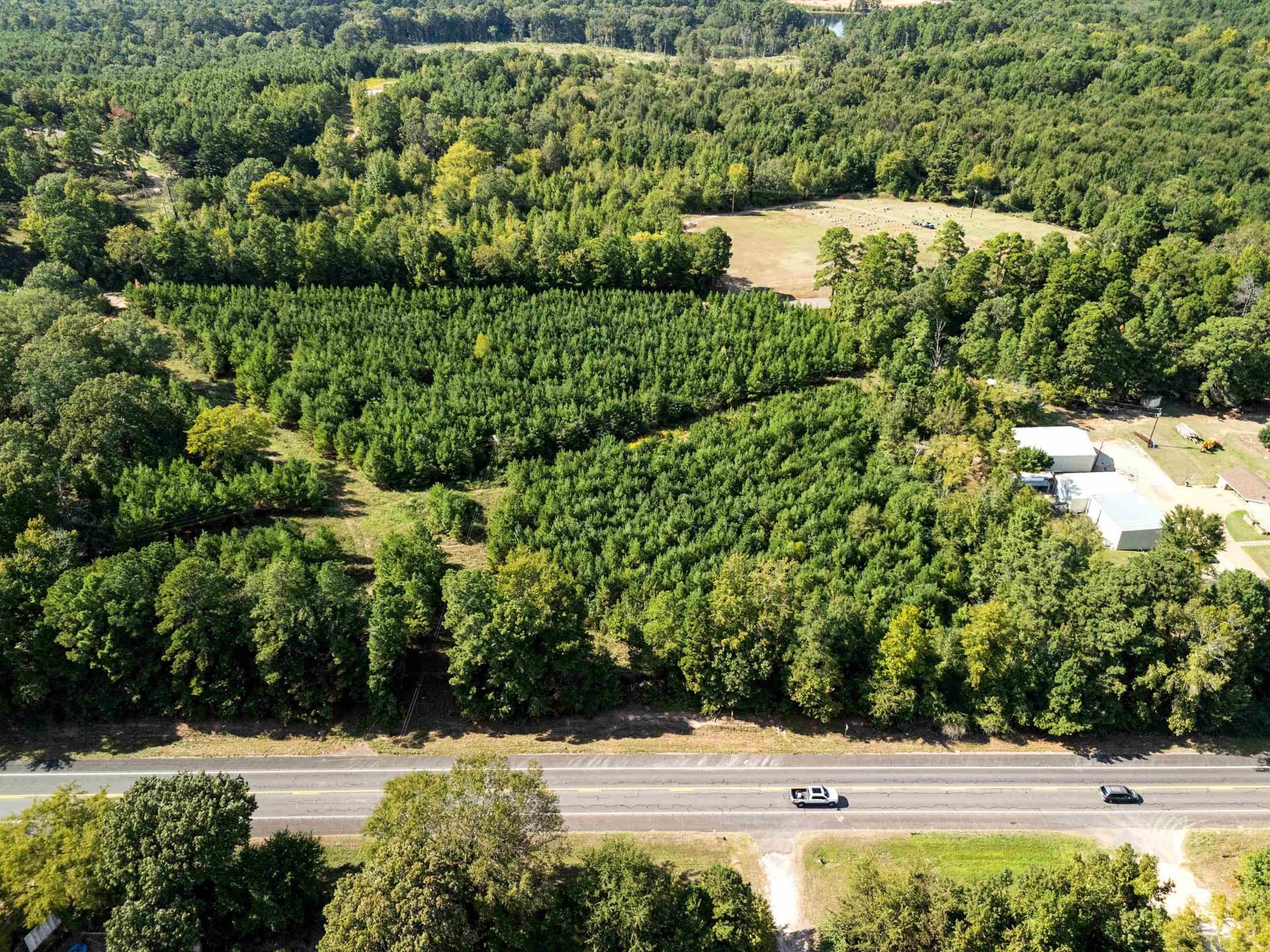 4 acres in Upshur County - photo 13