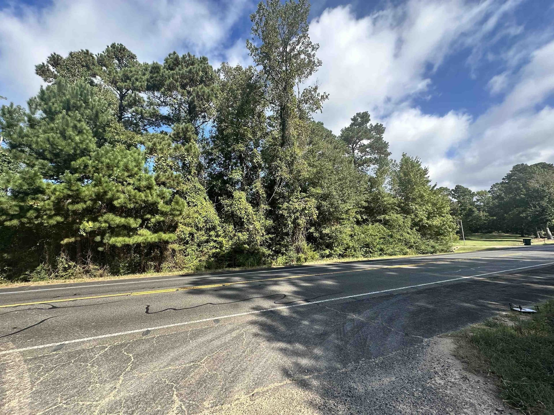 4 acres in Upshur County - photo 15