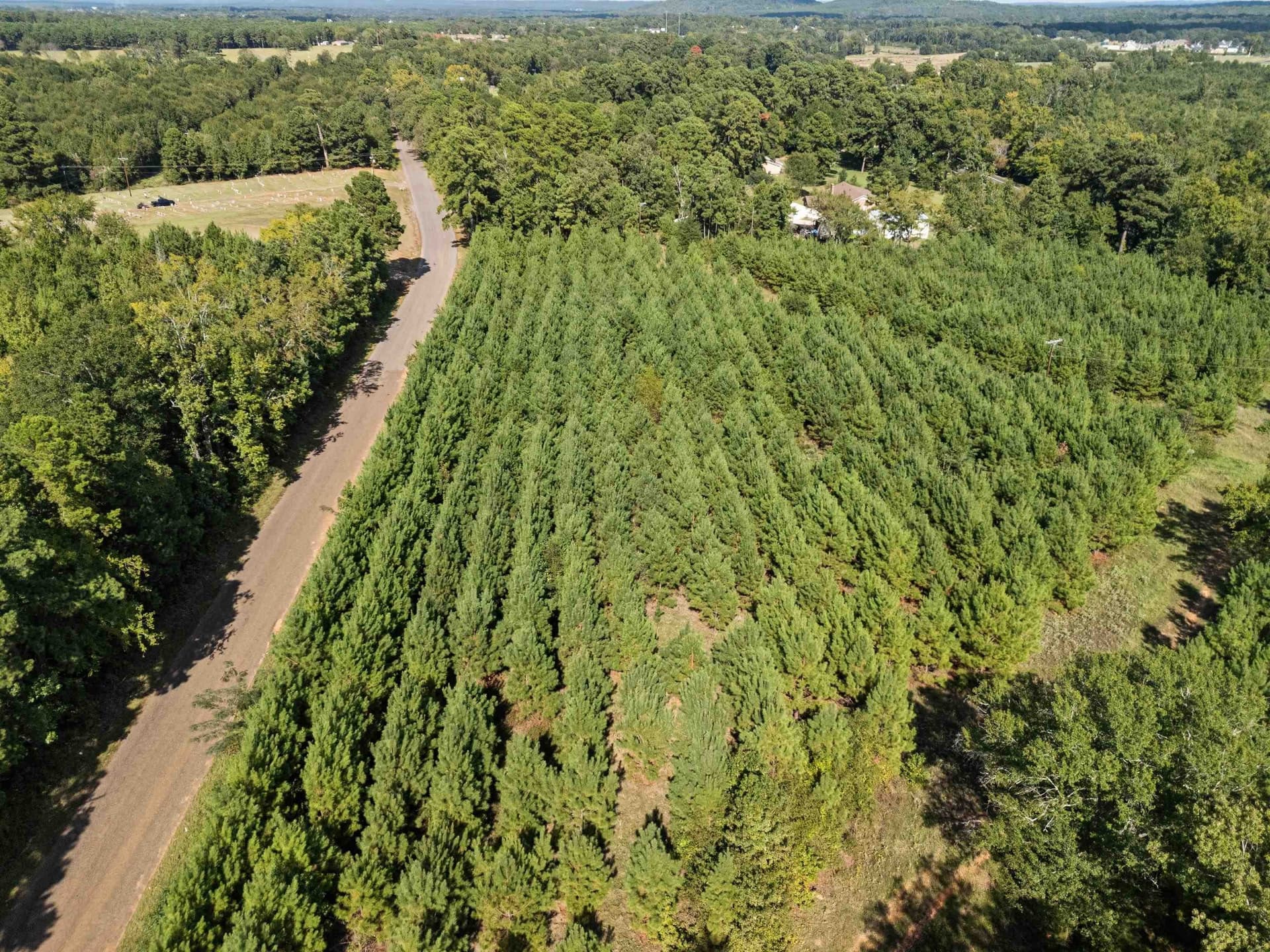4 acres in Upshur County - photo 8