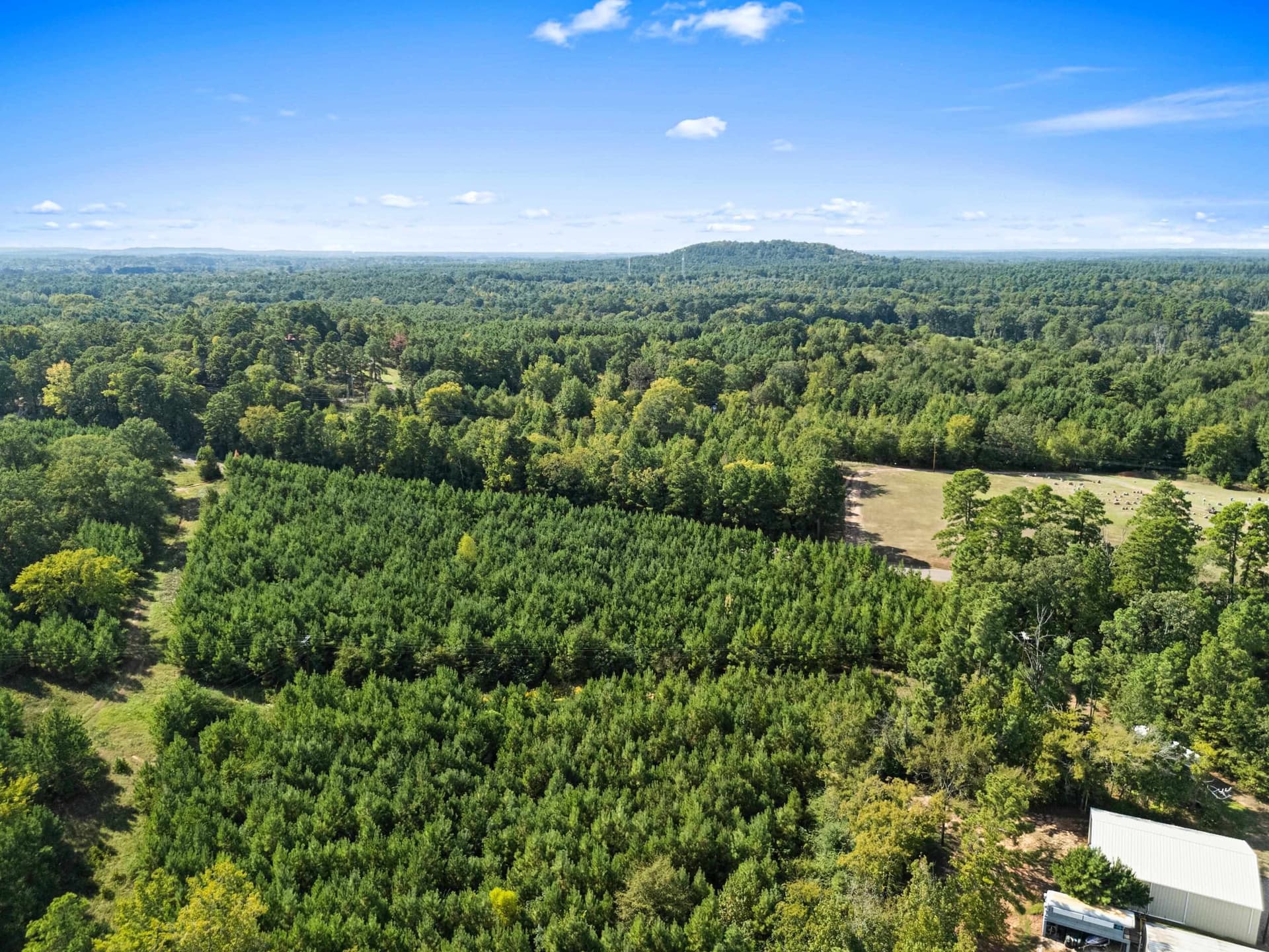 4 acres in Upshur County - photo 14