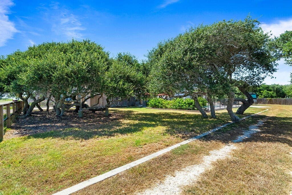 58 acres in Texas County - photo 41