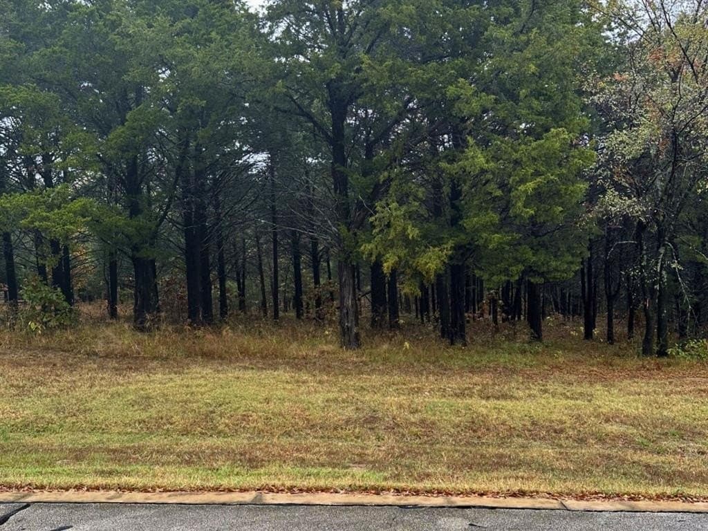 0.36 acres in Grayson County