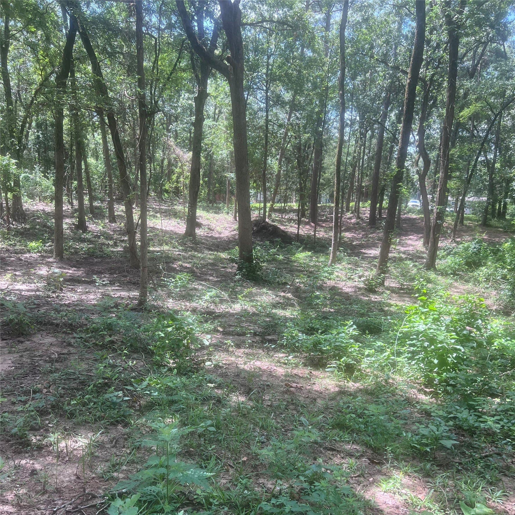 0.58 acres in Franklin (TX) County featured view