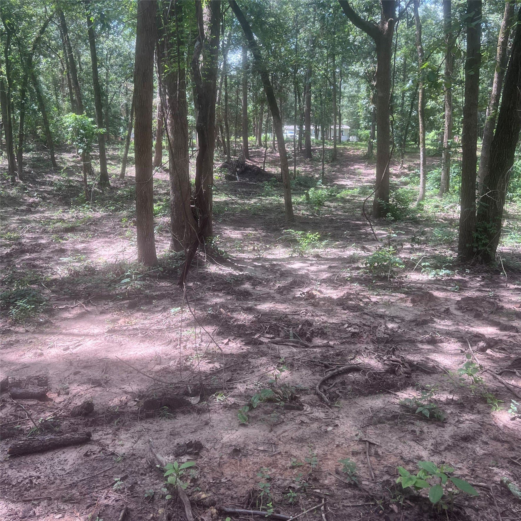 0.58 acres in Franklin (TX) County gallery image 2