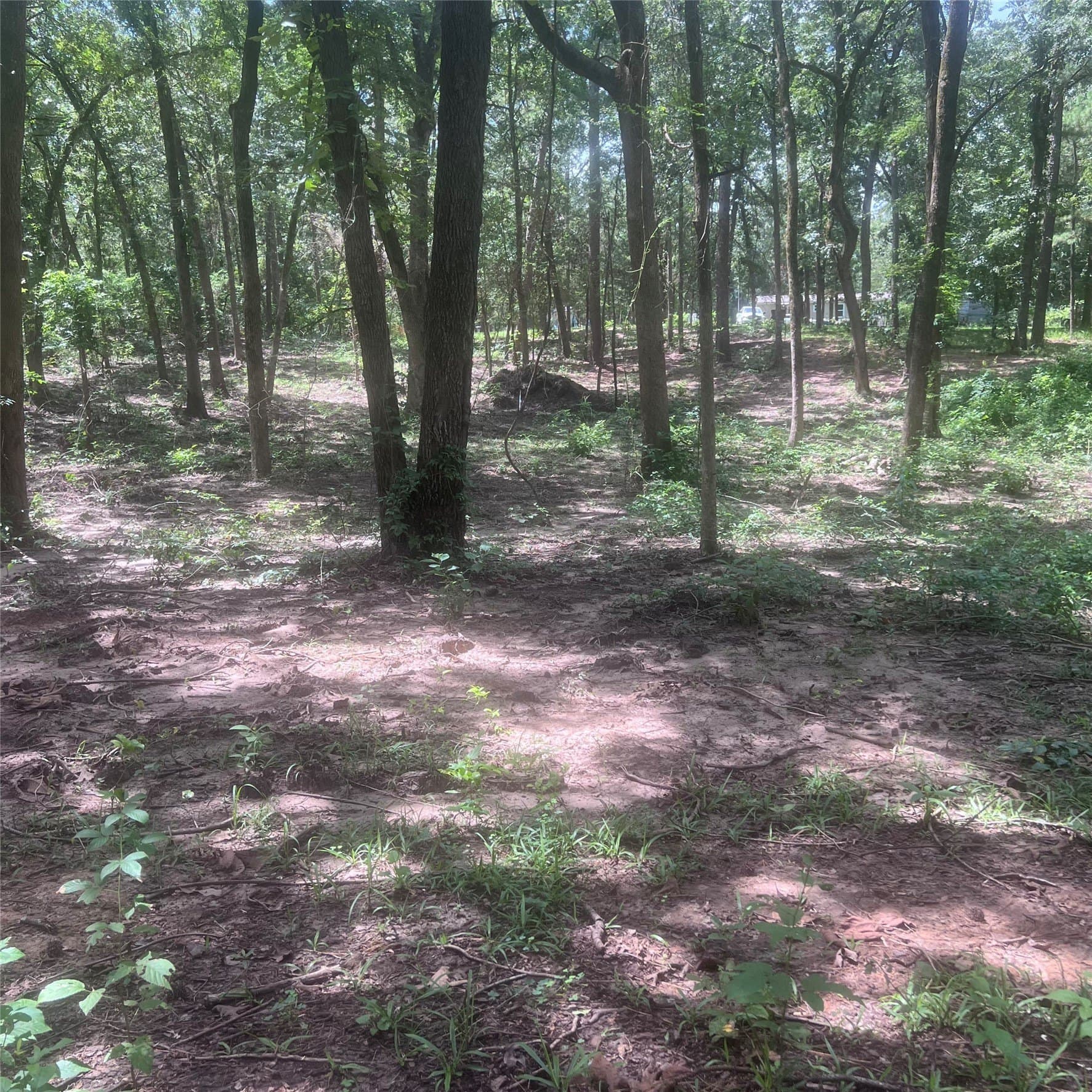 0.58 acres in Franklin (TX) County gallery image 4
