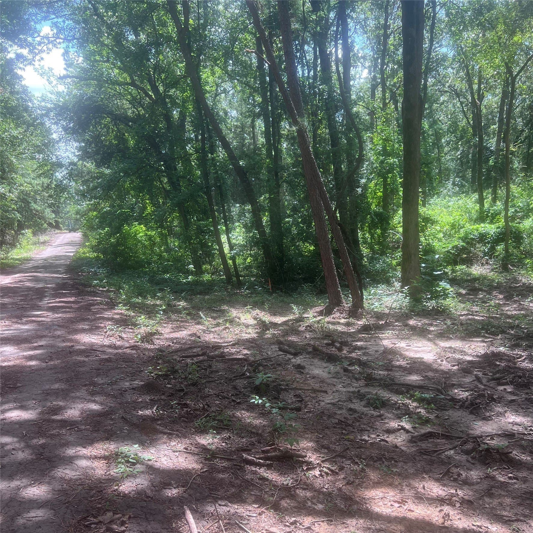 0.58 acres in Franklin (TX) County gallery image 3