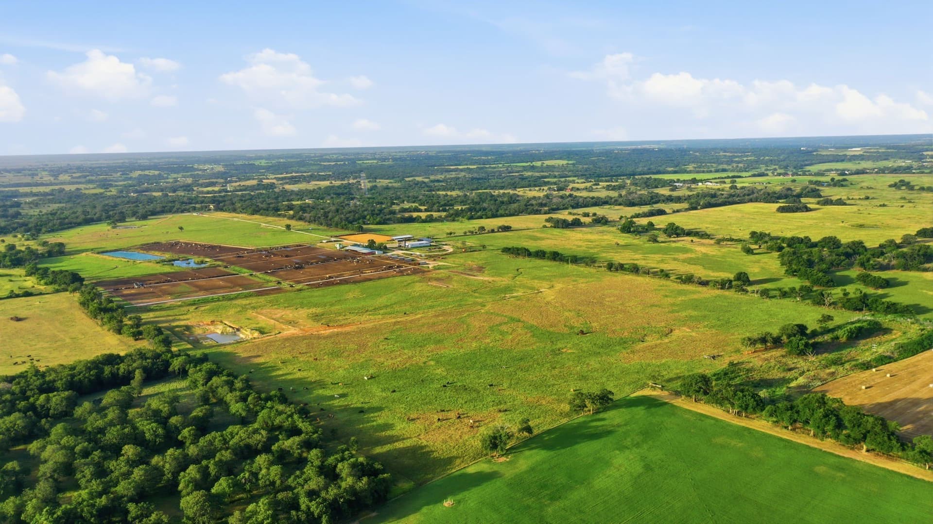 150.89 acres in Erath County - photo 40