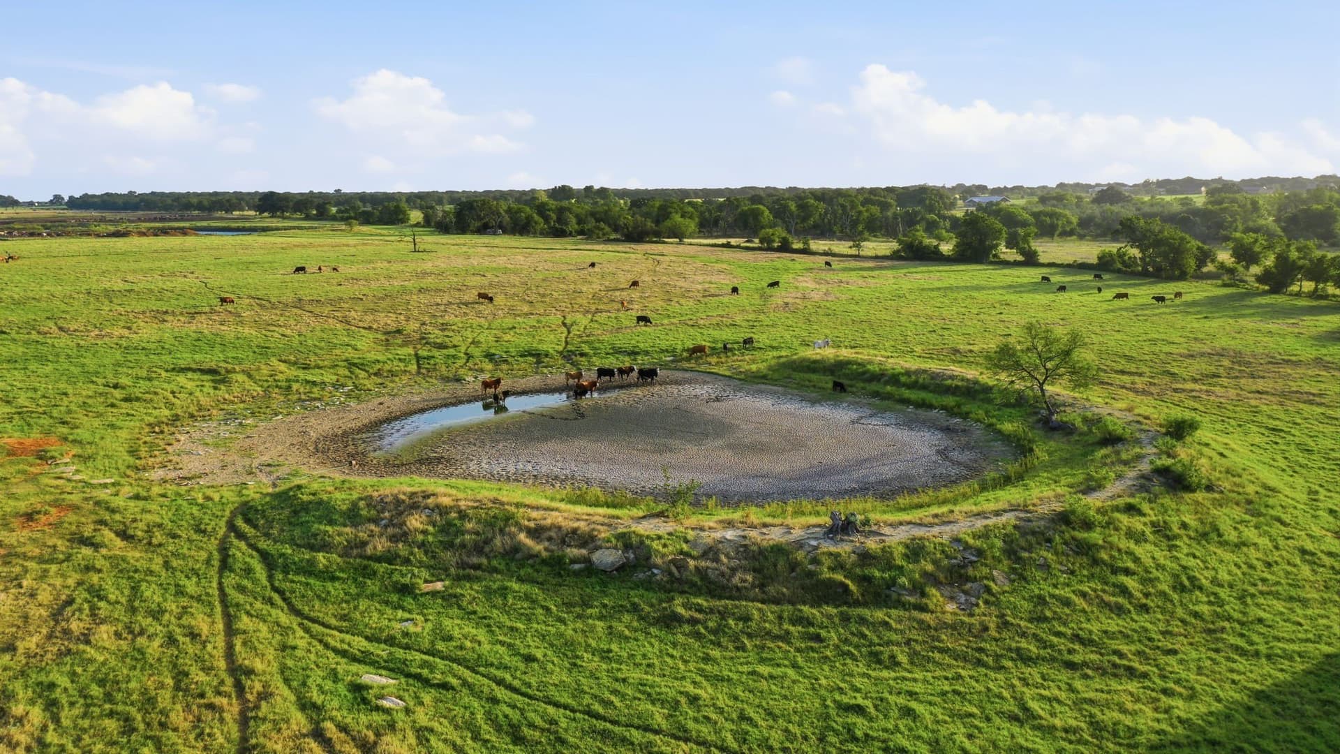 150.89 acres in Erath County - photo 35