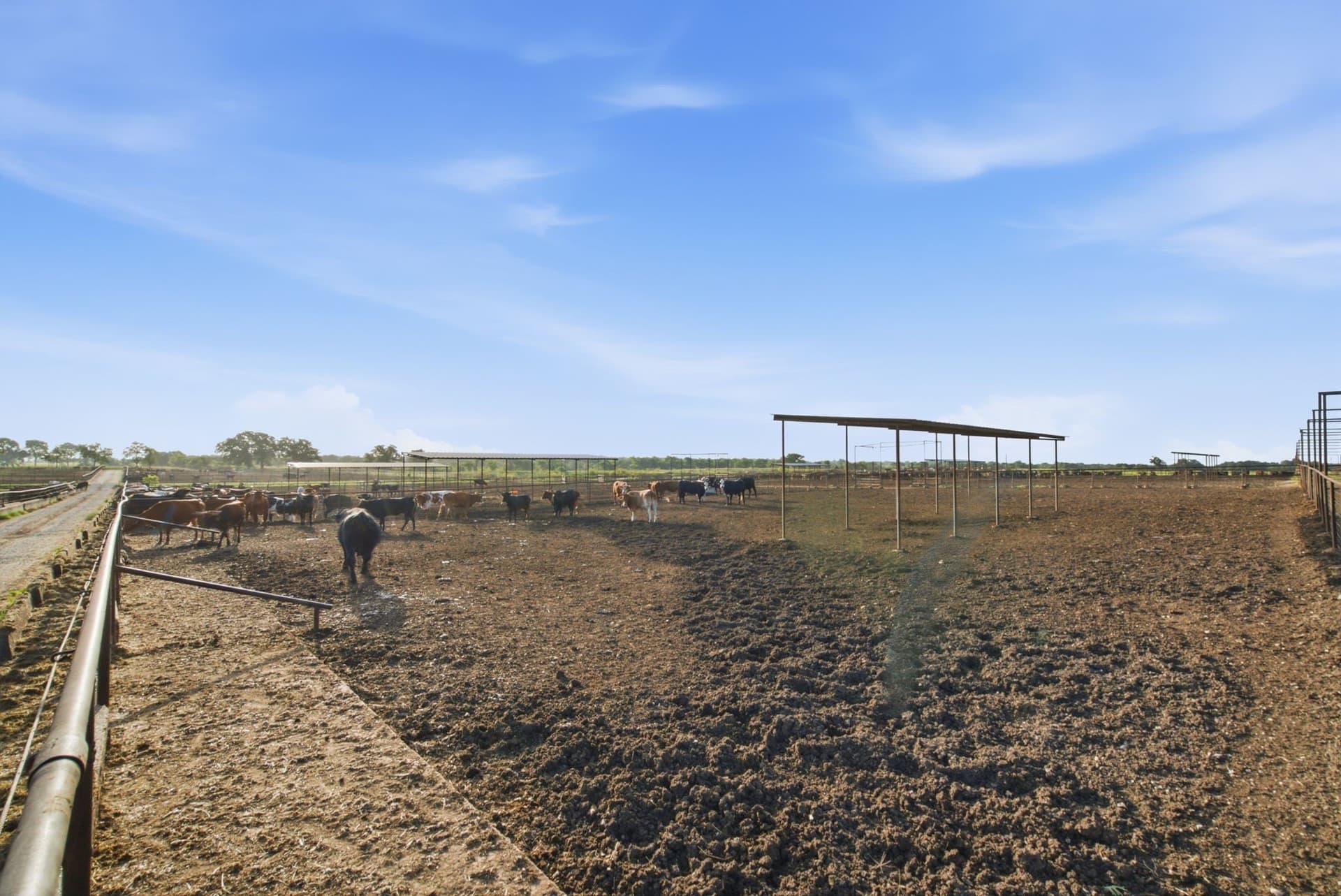 150.89 acres in Erath County - photo 14