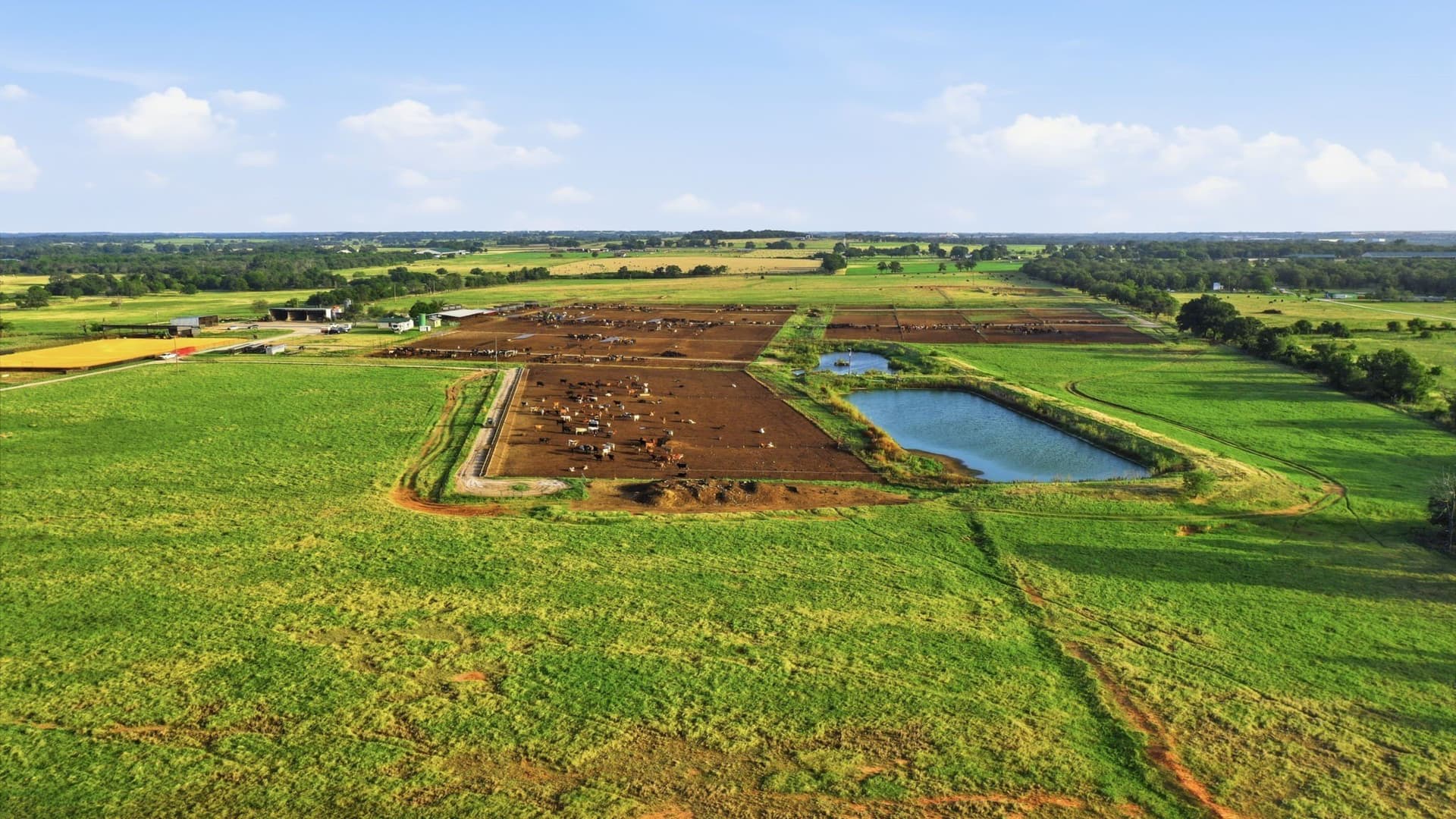 150.89 acres in Erath County - photo 36