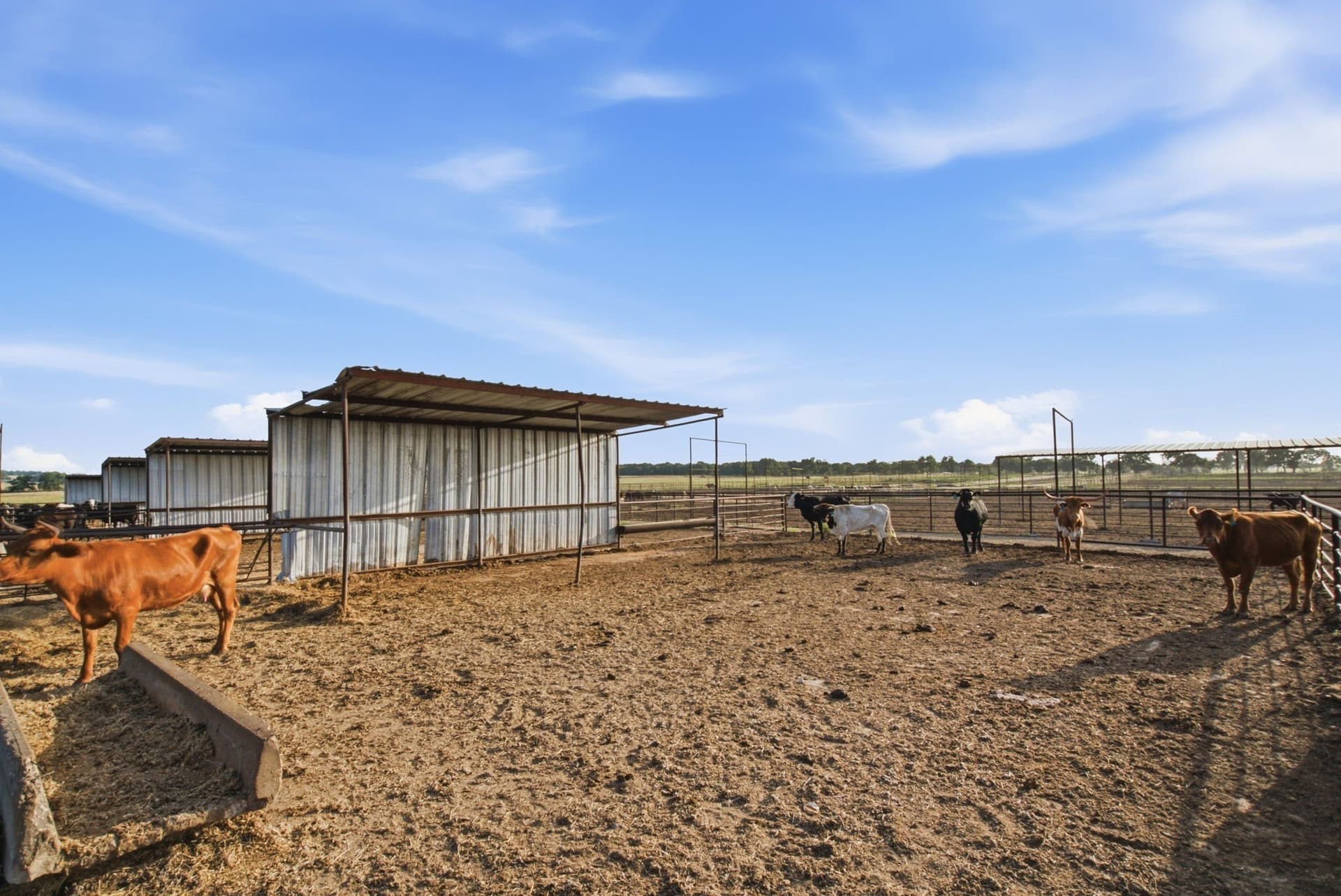 150.89 acres in Erath County - photo 20