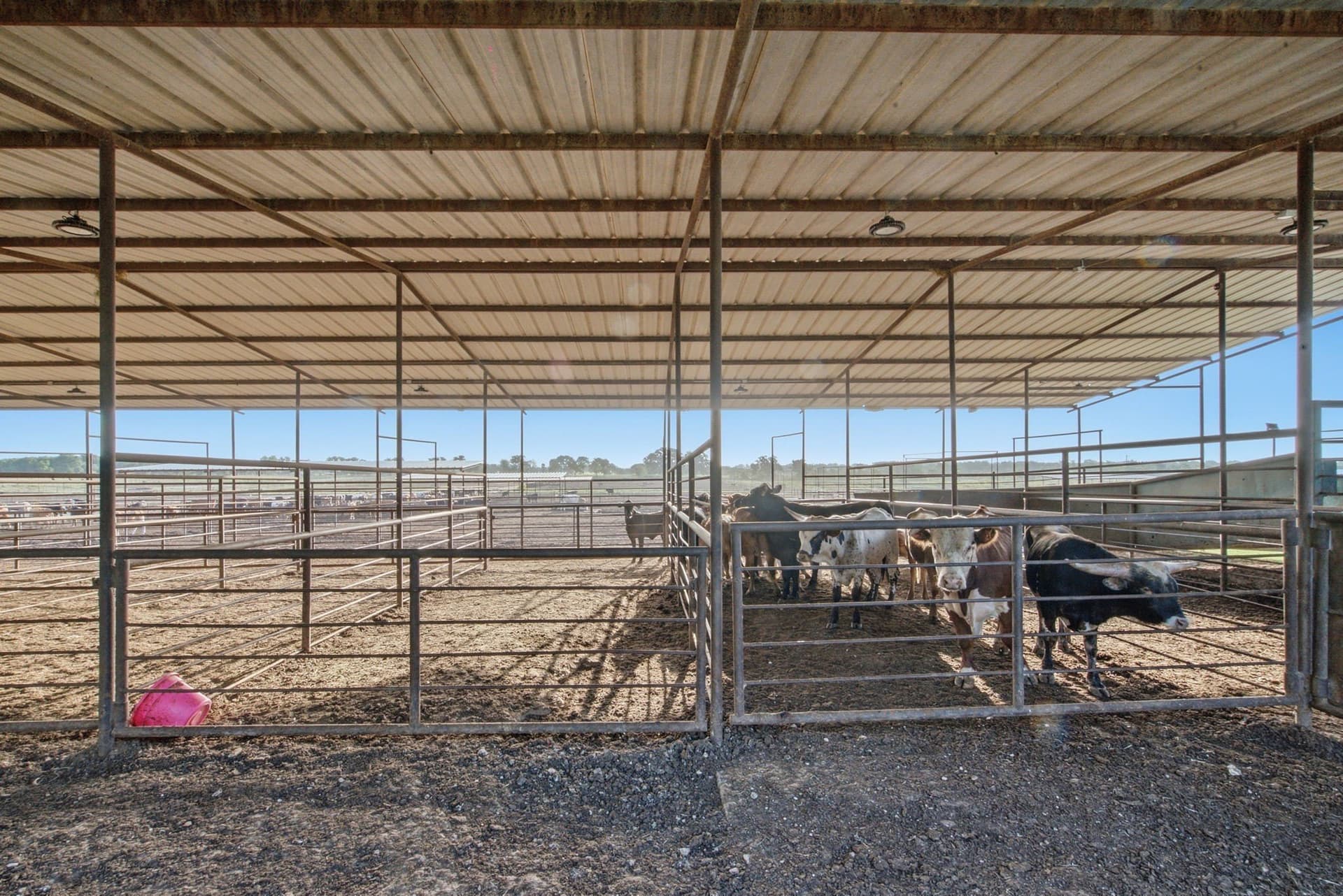 150.89 acres in Erath County - photo 11