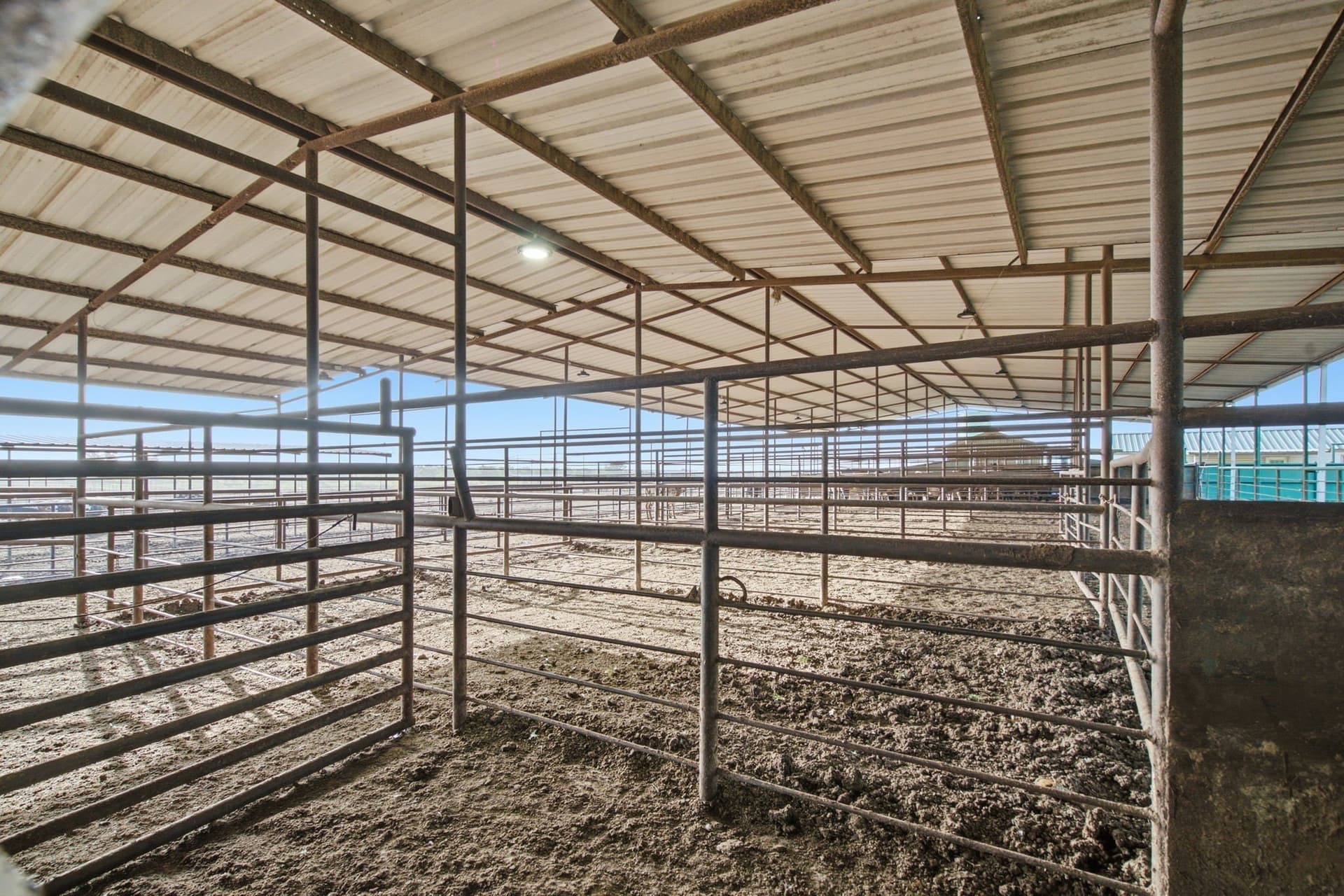 150.89 acres in Erath County - photo 28