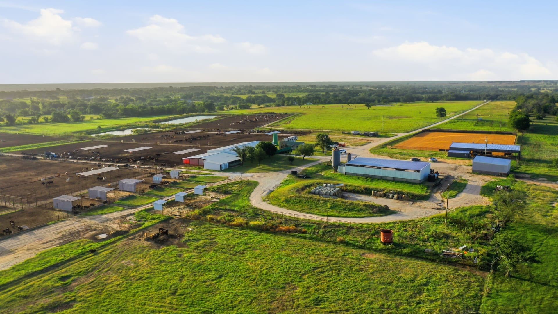 150.89 acres in Erath County gallery image 2