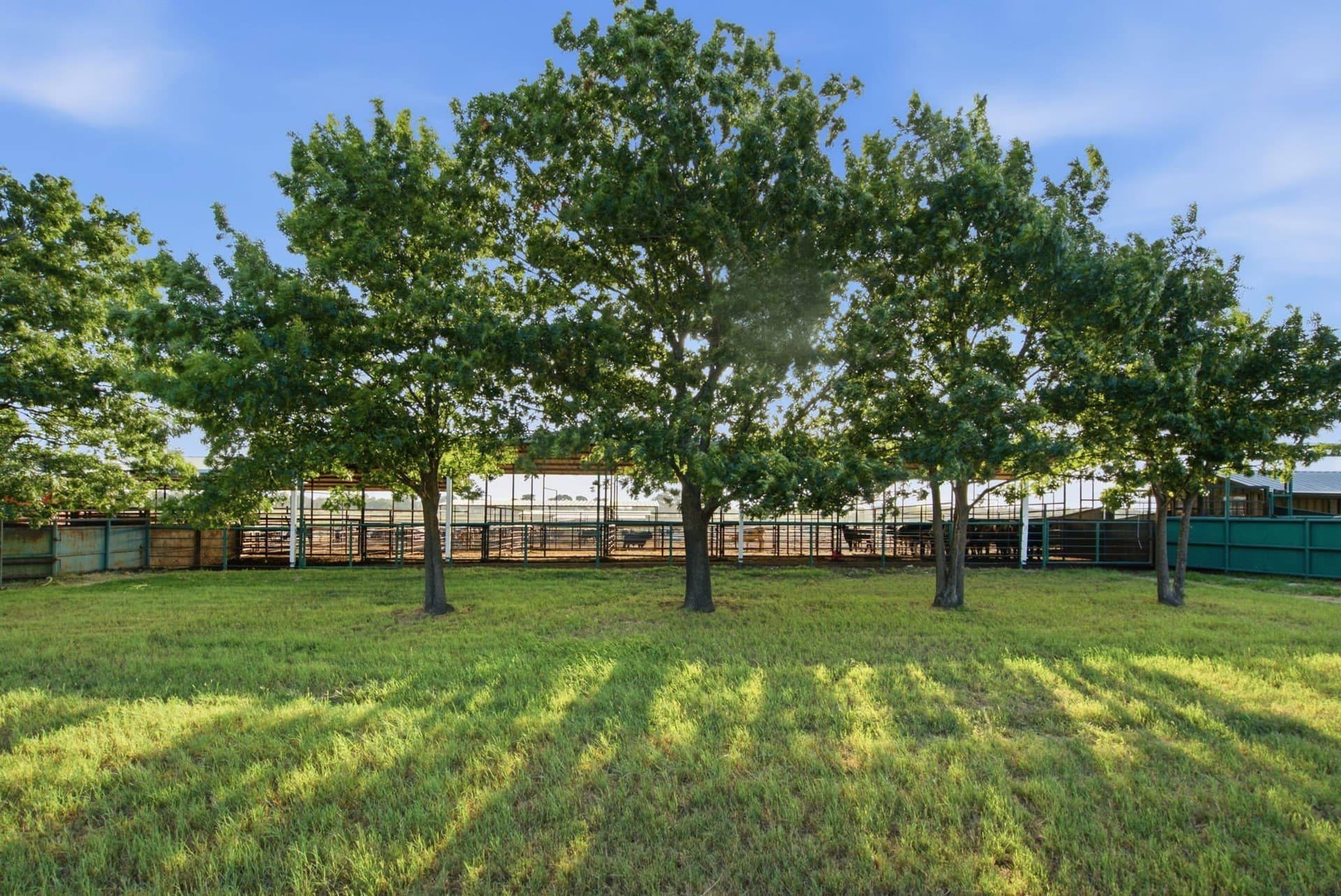 150.89 acres in Erath County - photo 8