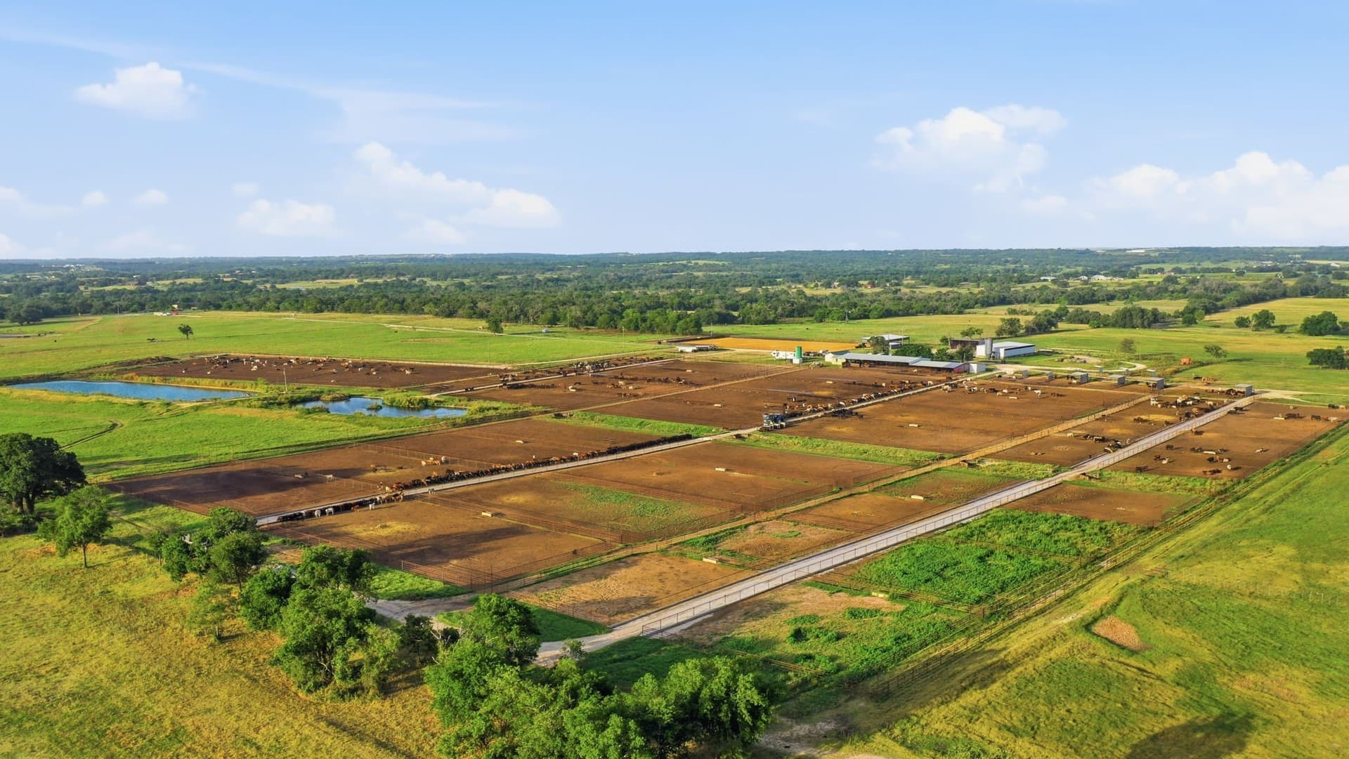 150.89 acres in Erath County gallery image 3