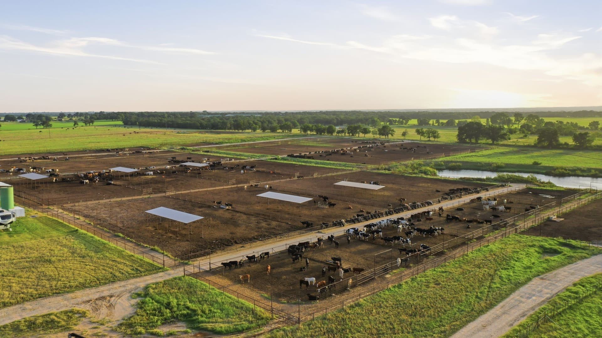 150.89 acres in Erath County - photo 32