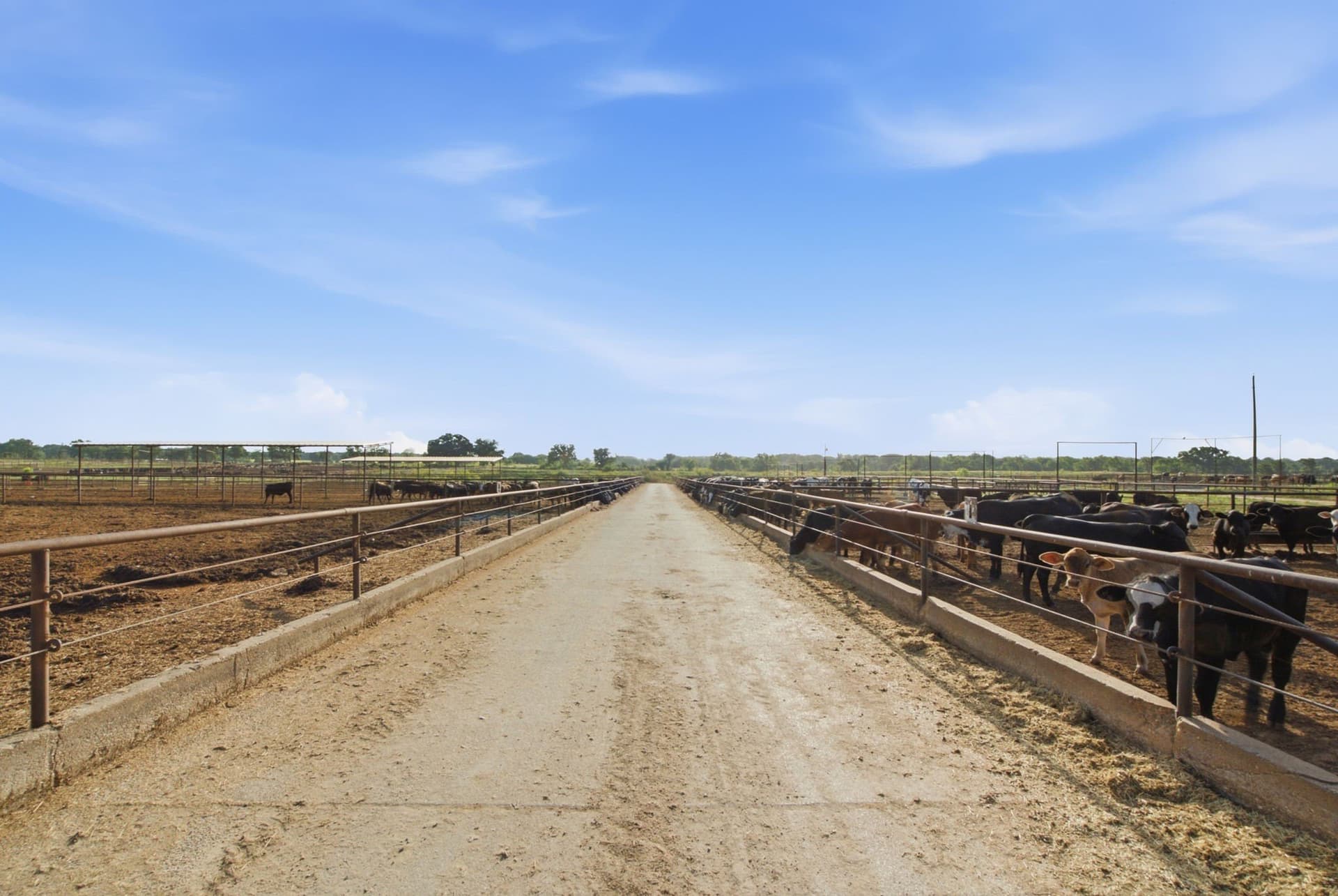 150.89 acres in Erath County - photo 6