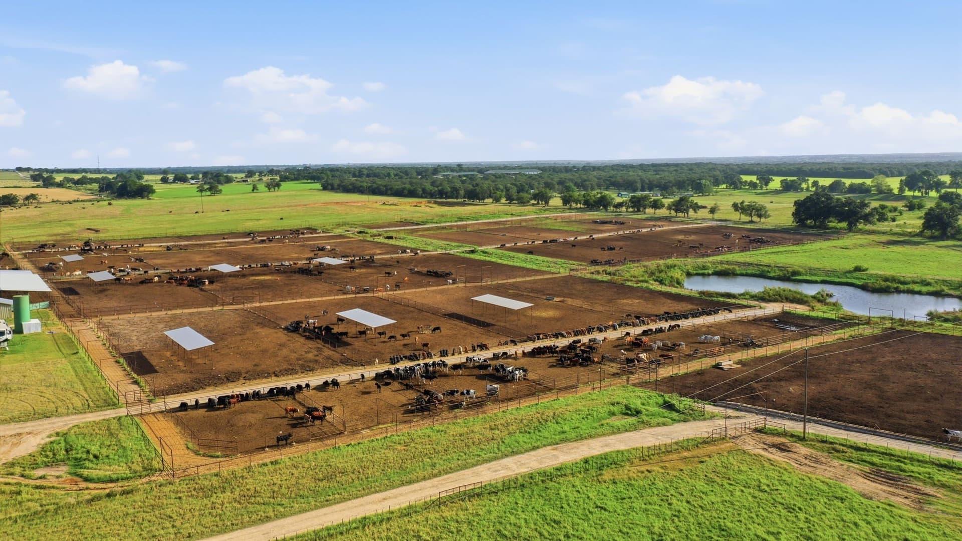 150.89 acres in Erath County gallery image 4
