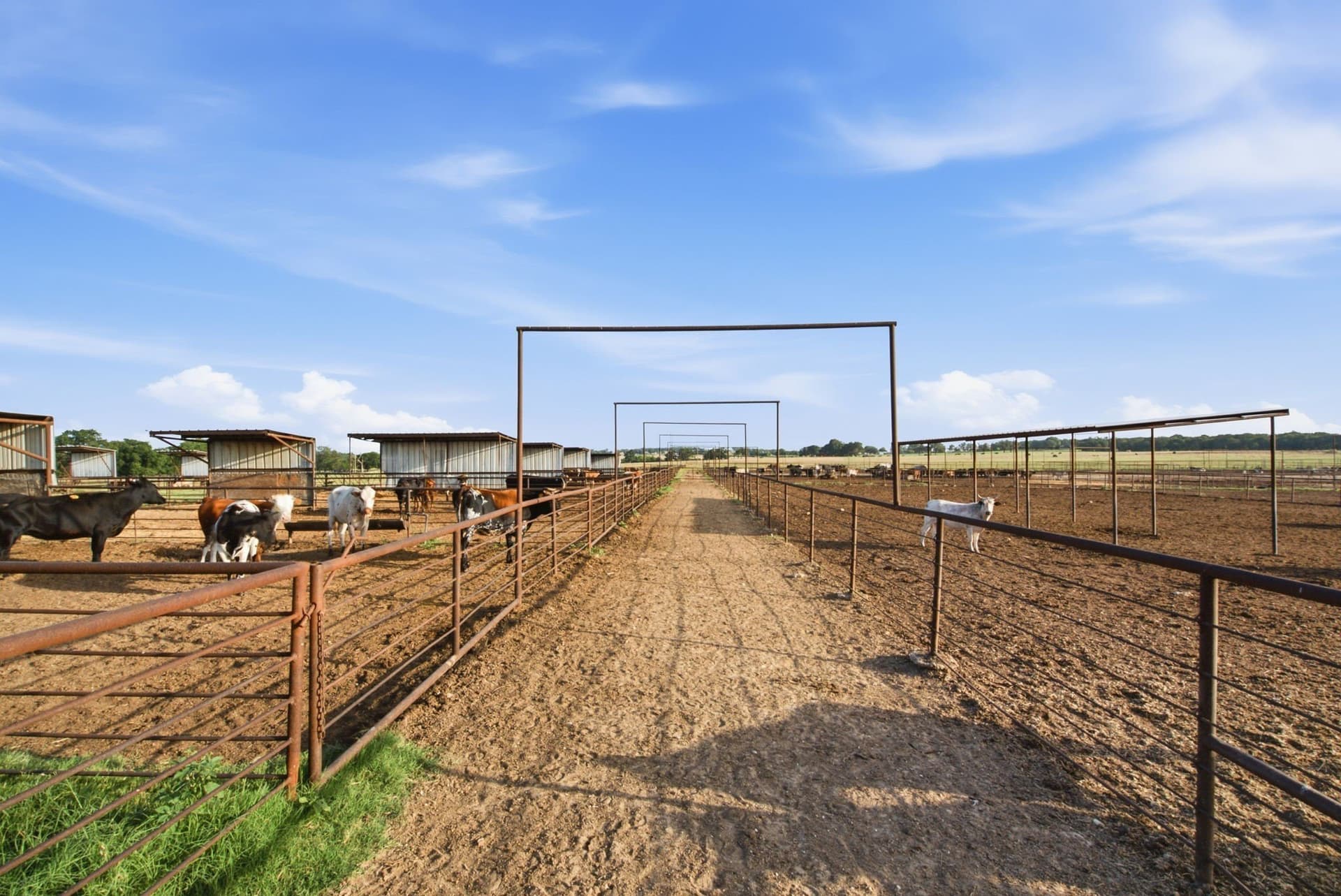 150.89 acres in Erath County - photo 16