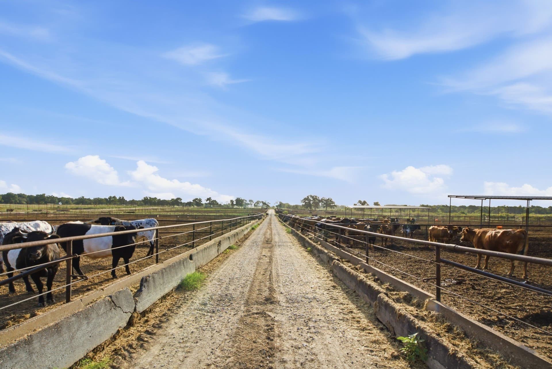 150.89 acres in Erath County - photo 19