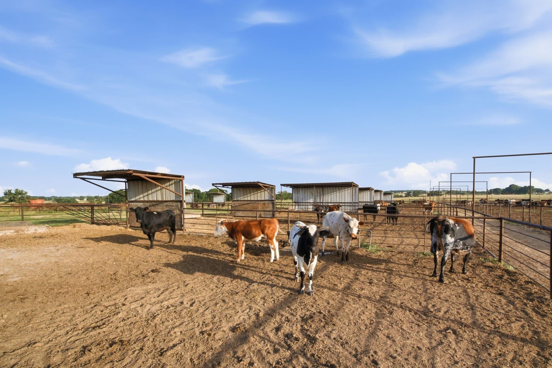 150.89 acres in Erath County - photo 18