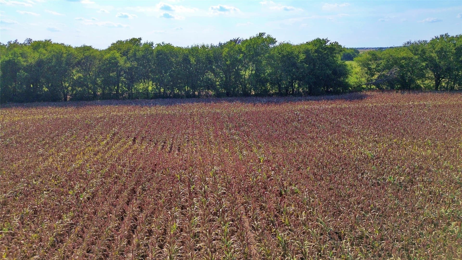 25 acres in Cooke County featured view