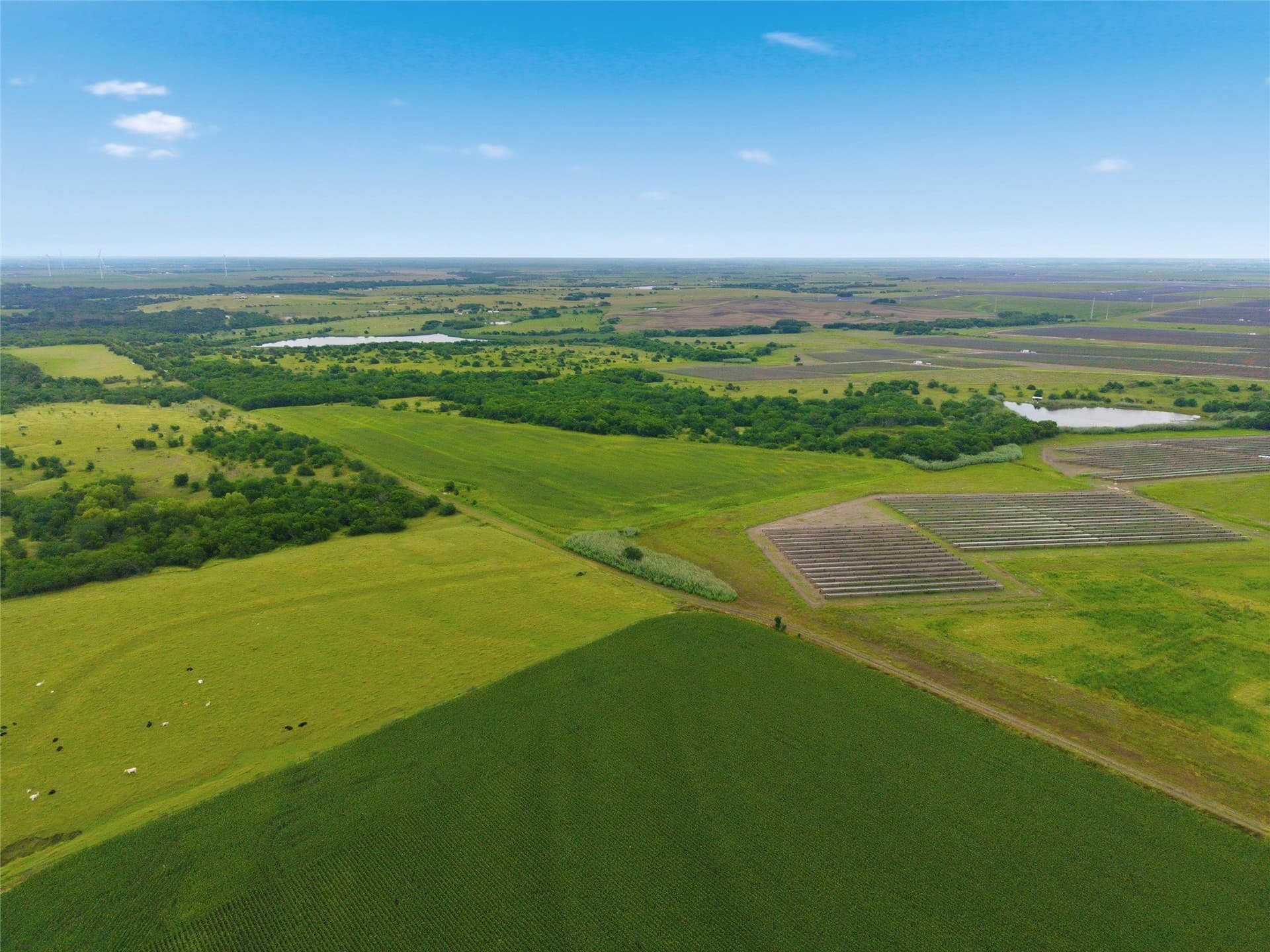 40 acres in Hill County - photo 5