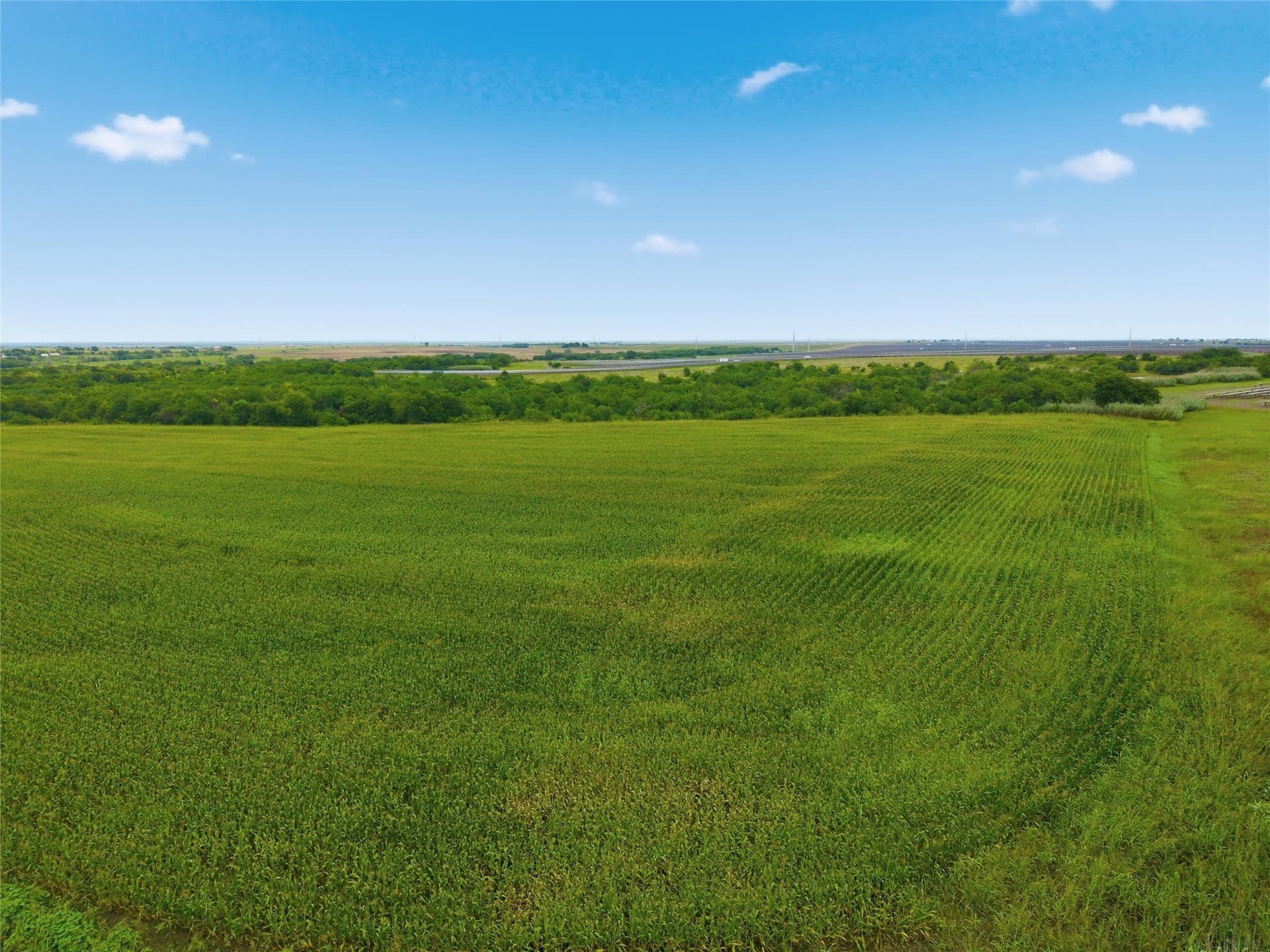 40 acres in Hill County - photo 2