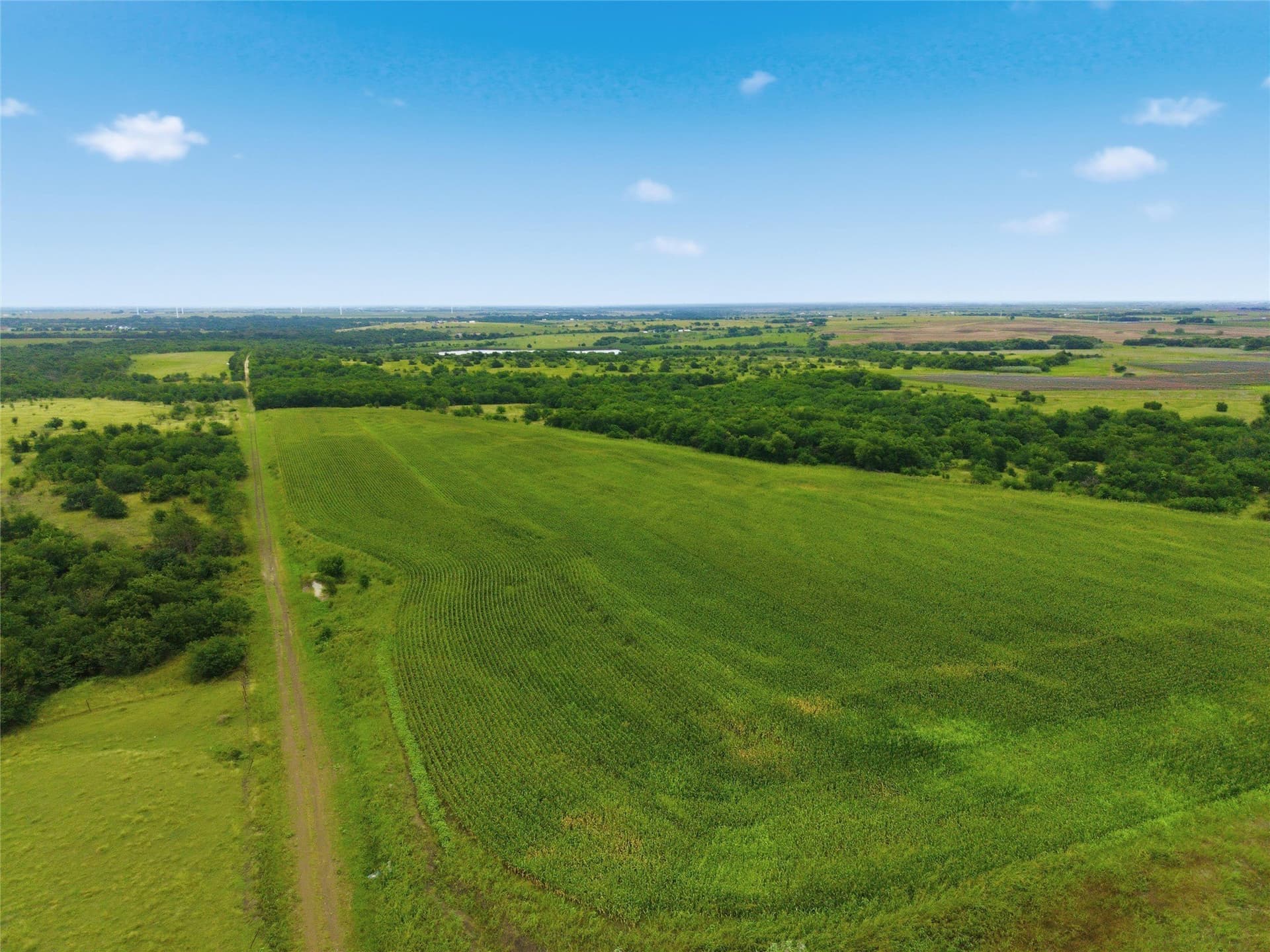 40 acres in Hill County - photo 4