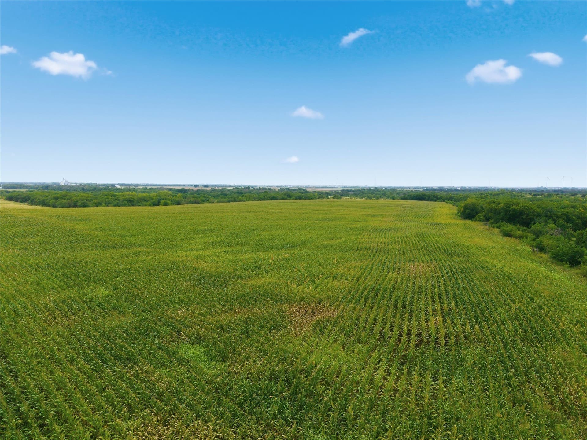 40 acres in Hill County - photo 3