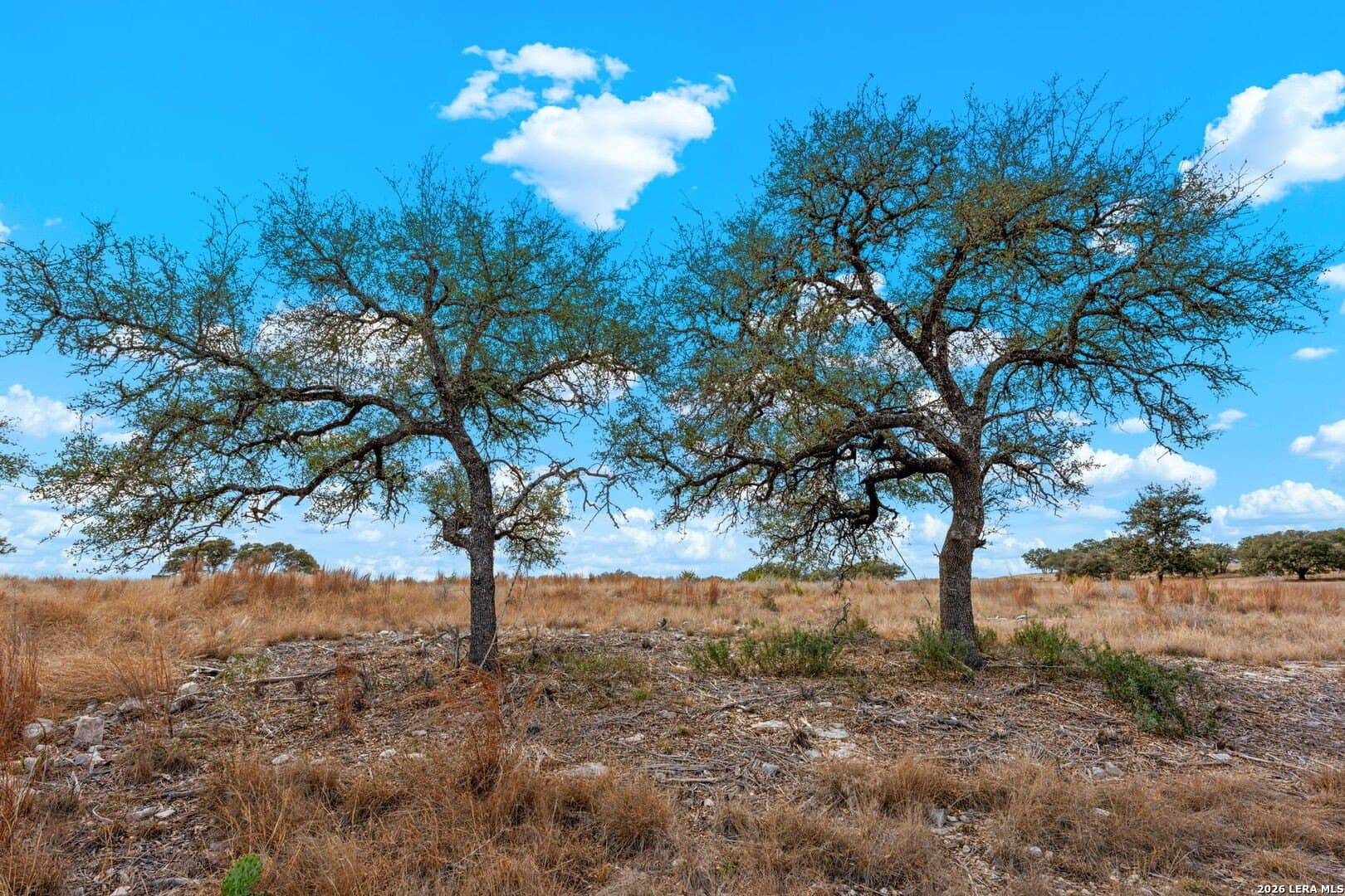 3.01 acres in Gillespie County - photo 8