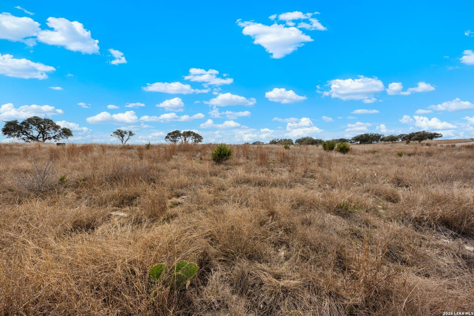 3.01 acres in Gillespie County - photo 7