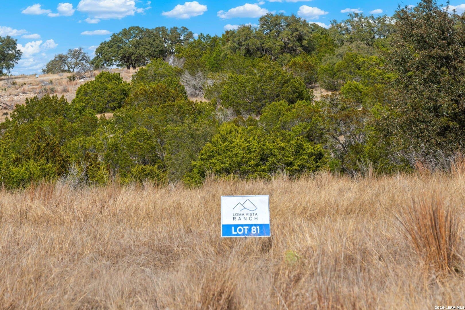 3.01 acres in Gillespie County - photo 10