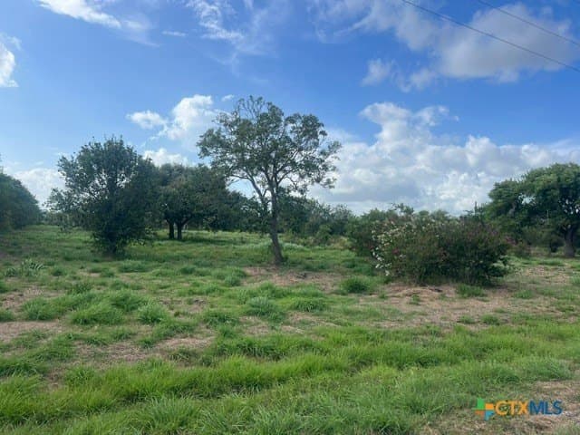 2.5 acres in Victoria County featured view