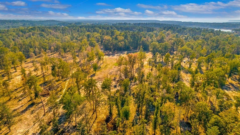 10 acres in Texas County featured view