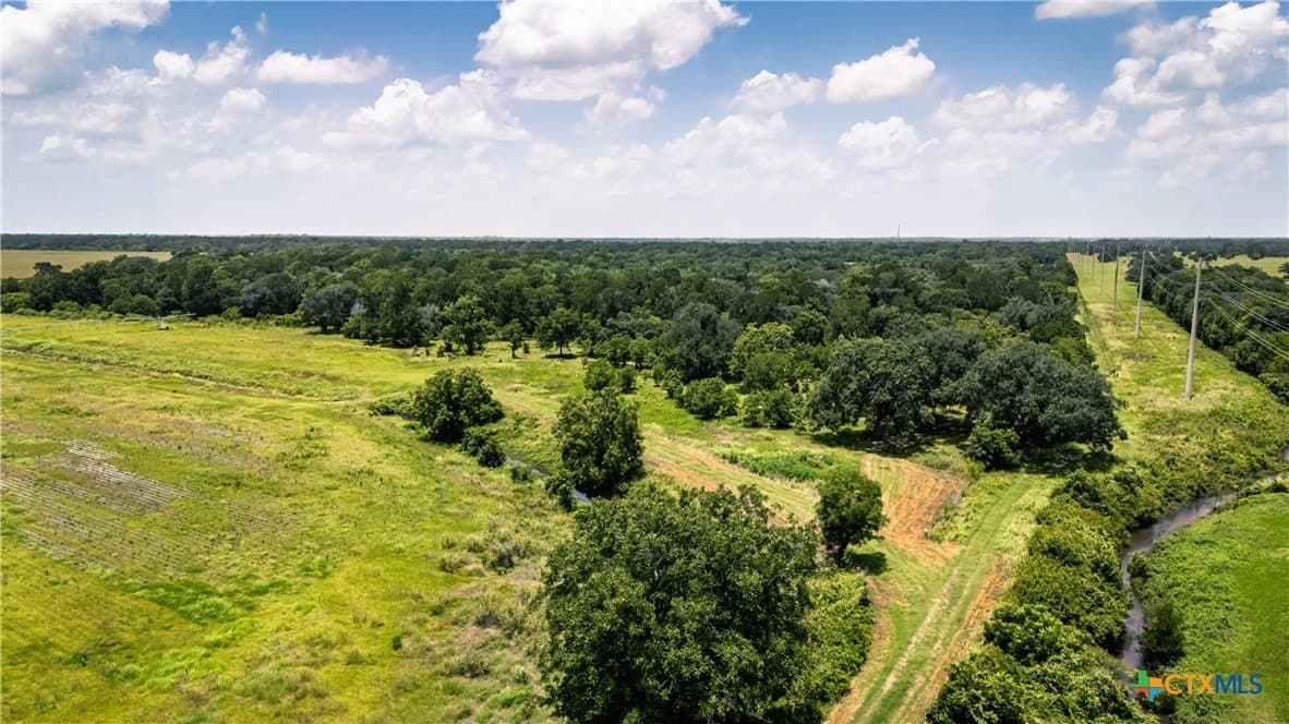 23.75 acres in Wharton County gallery image 3