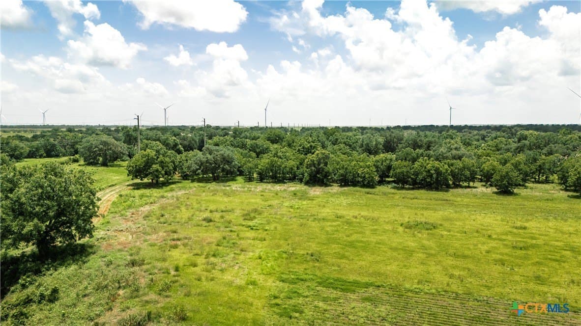 23.75 acres in Wharton County gallery image 4