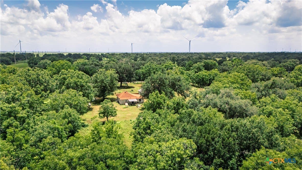 23.75 acres in Wharton County gallery image 2